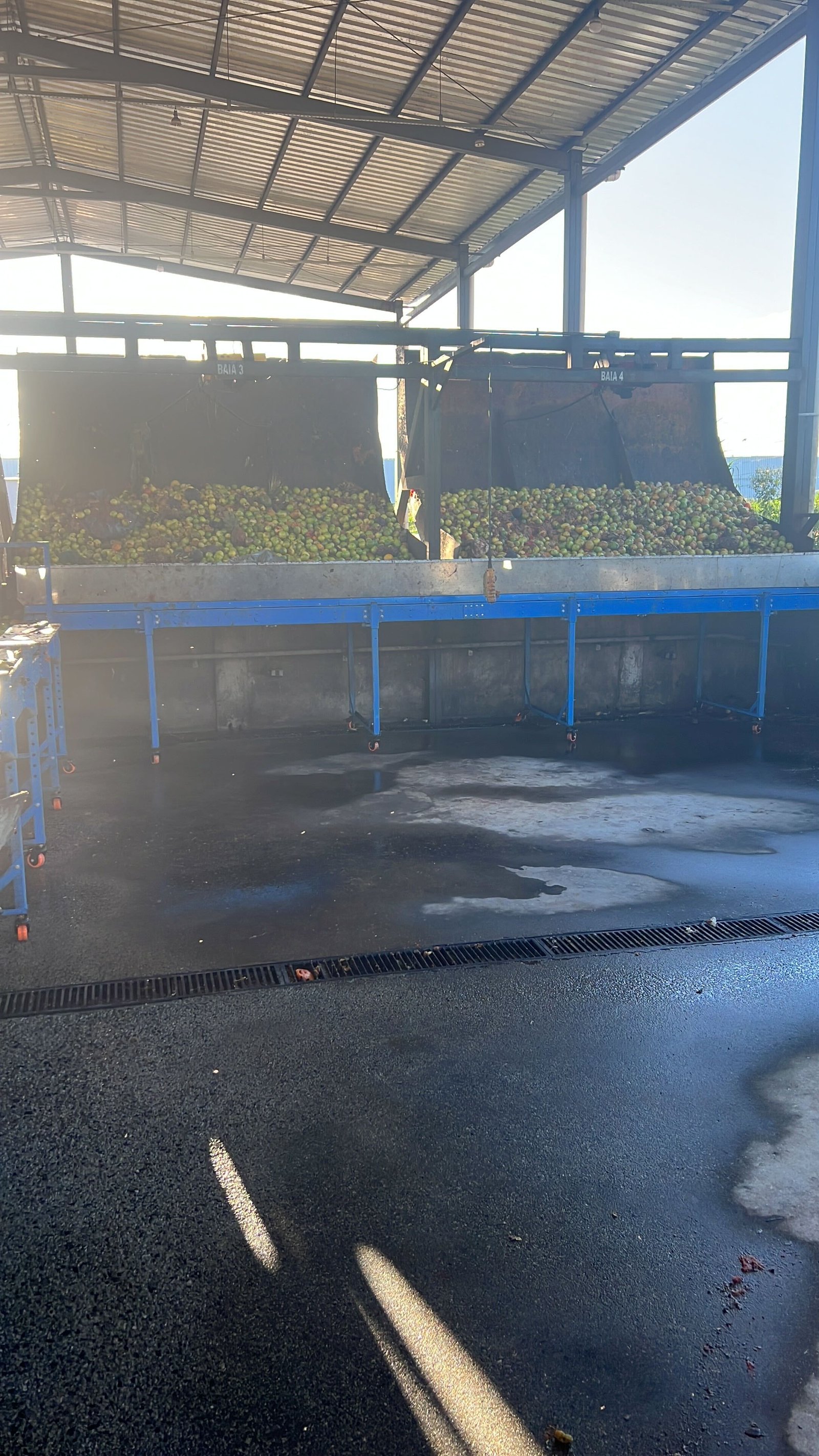 Fertilizante e Biochar