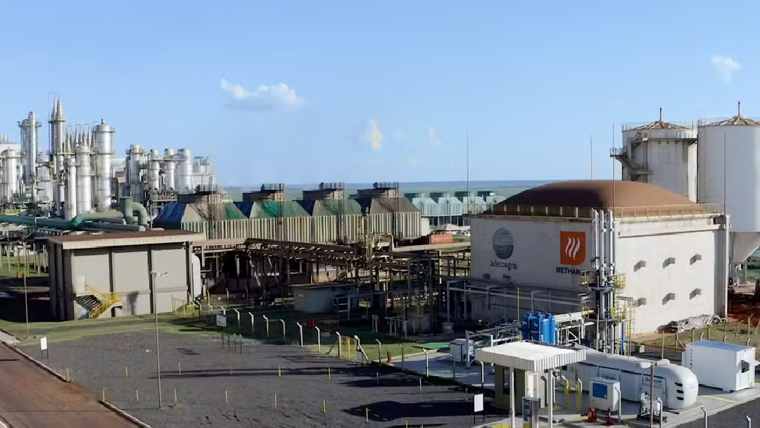 Viabilidade Técnica