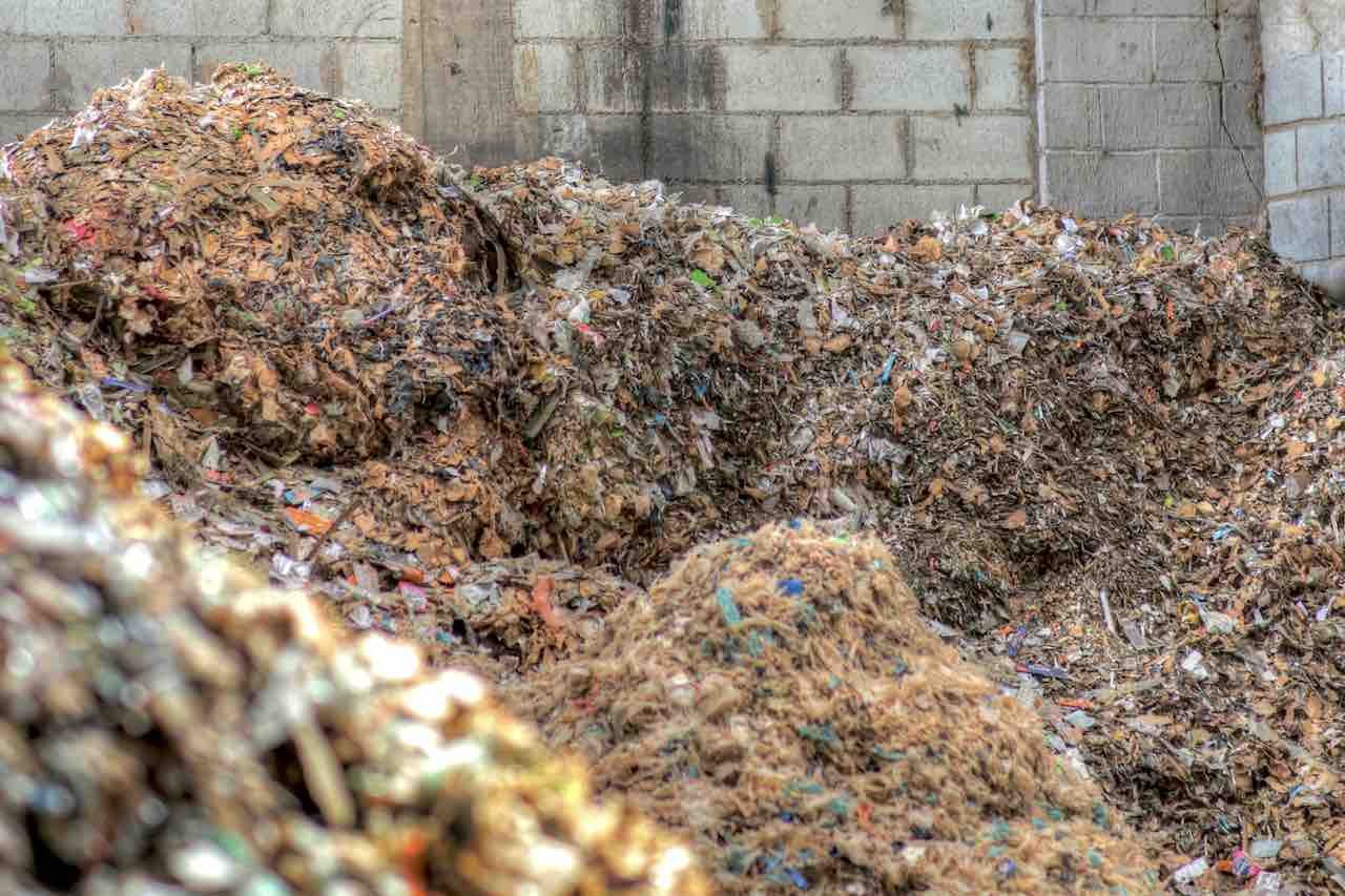 Coleta e Preparação