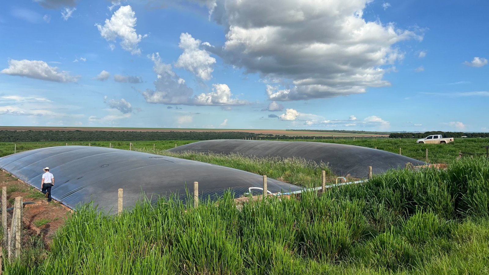 Energia e Combustíveis Sustentáveis