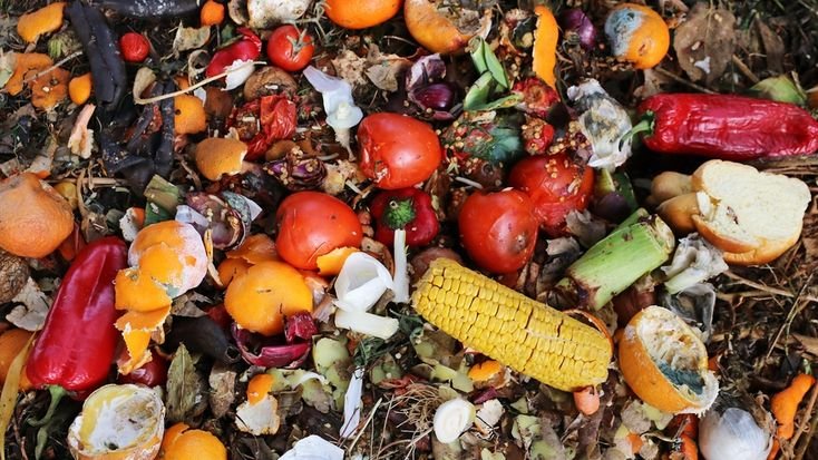 Matéria-prima Orgânica